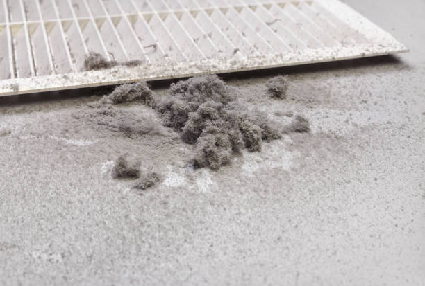 Best HVAC Air Duct Cleaning  in Temple City, CA