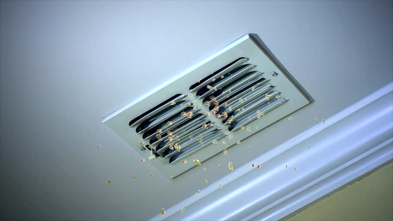 Best Air Duct Cleaning Near Me  in Temple City, CA