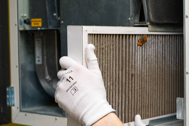 Best Air Duct Cleaning Near Me  in Temple City, CA