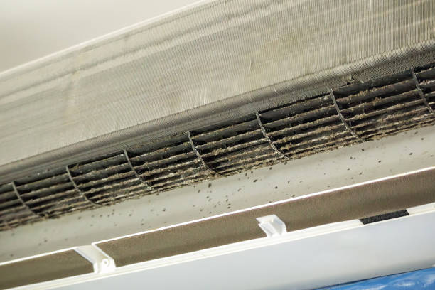 Best Dryer Vent Cleaning Services  in Temple City, CA